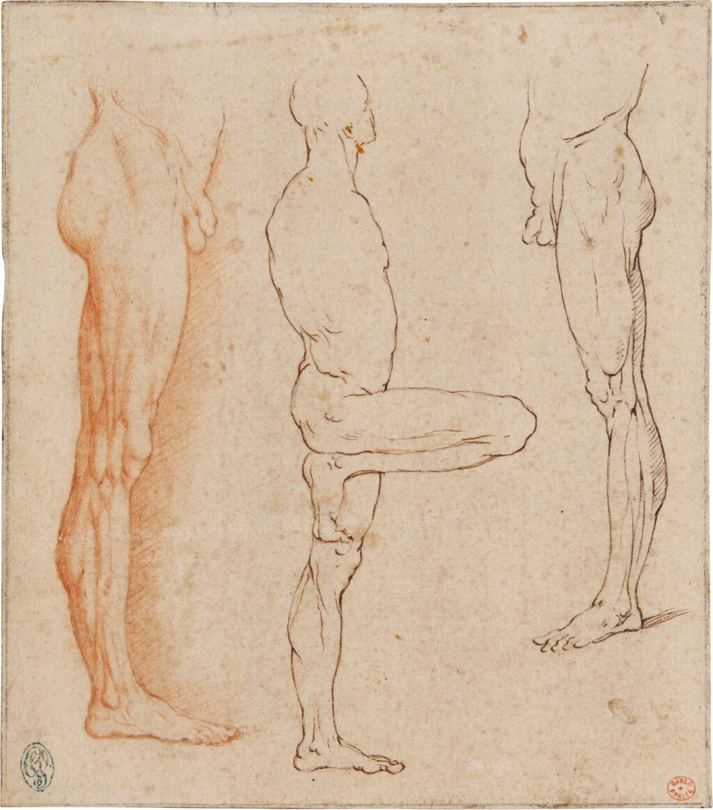 View full screen - View 1 of Lot 76. Anatomical studies.