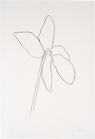 View full screen - View 1 of Lot 63. Cyclamen IV, from Suite of Plant Lithographs (A. 39).