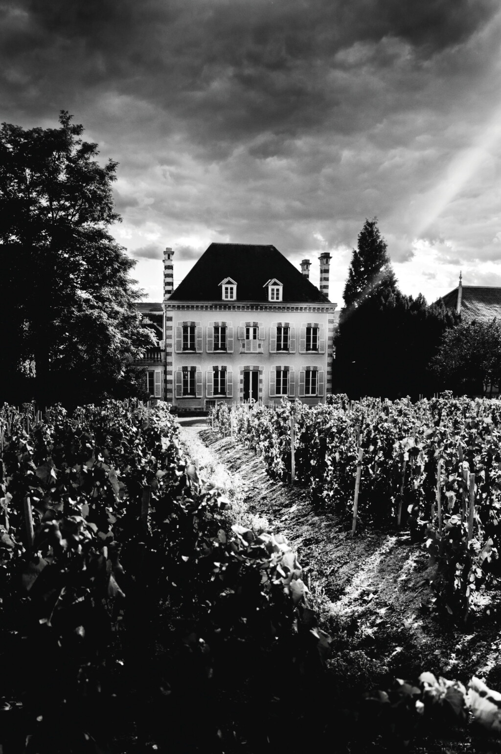 View full screen - View 1 of Lot 8658. Bollinger: La Grande Annee 2012 (6 BT).