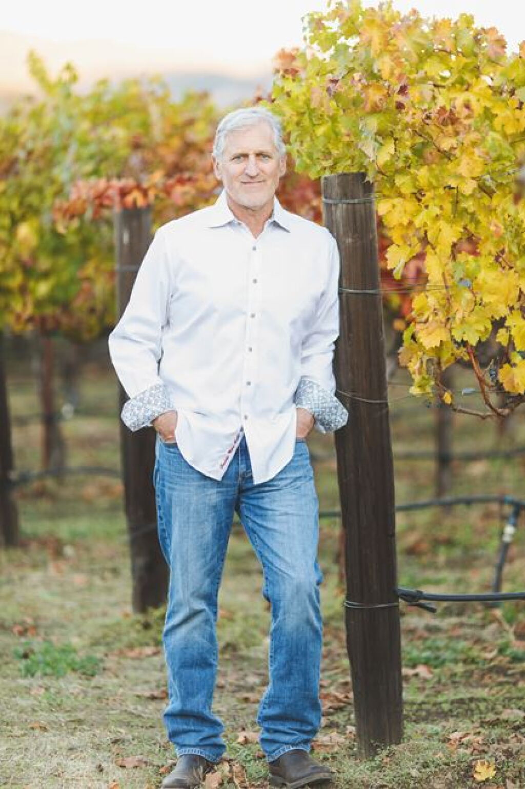 View full screen - View 1 of Lot 82. Salvestrin, Cabernet Franc, Dr. Crane Vineyard Propietary Blend, St. Helena 2020 (120 BT).