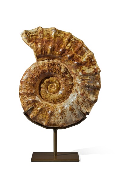 View full screen - View 1 of Lot 11. Mounted Jurassic Ammonite.
