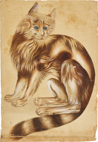 View full screen - View 1 of Lot 69. A study of a domestic cat, North India, Lucknow, circa 1845.