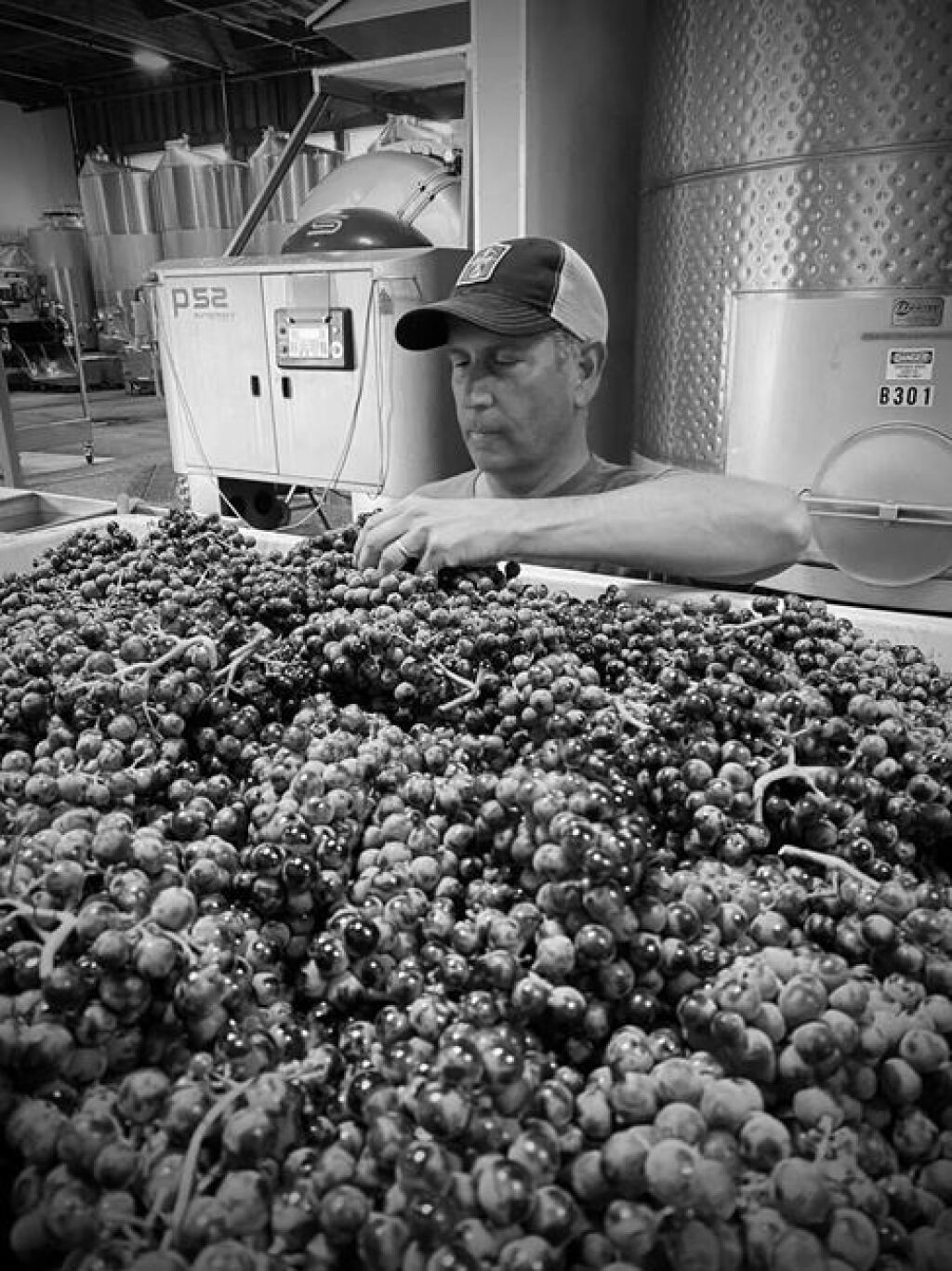 View full screen - View 1 of Lot 180. Apogia Wines, The Hill, Cabernet Sauvignon, Napa Valley, 2024 (60 BT).