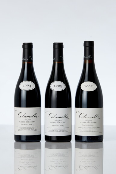 View full screen - View 1 of Lot 7359. Columella Vertical (19 BT).