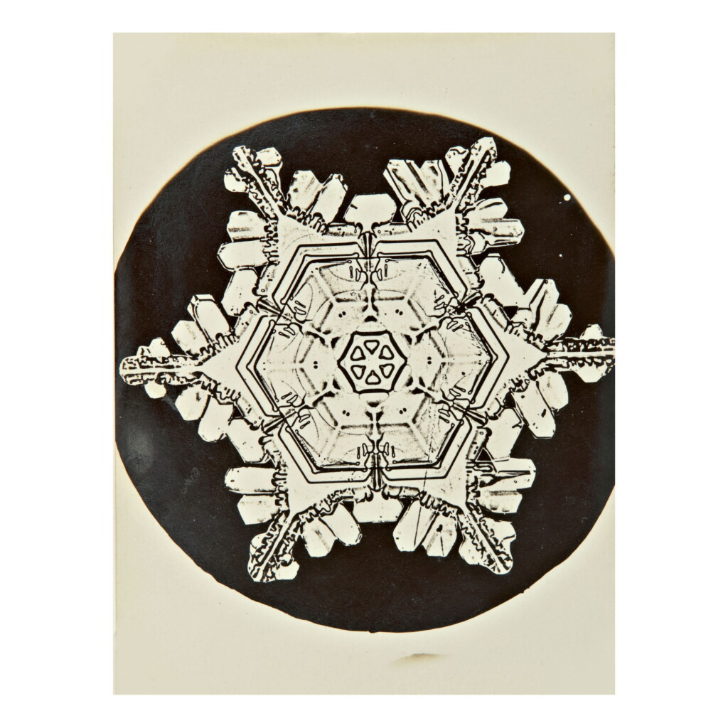 View full screen - View 1 of Lot 142. WILSON A. BENTLEY | SELECTED IMAGES OF SNOWFLAKES.
