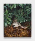 Second Hare