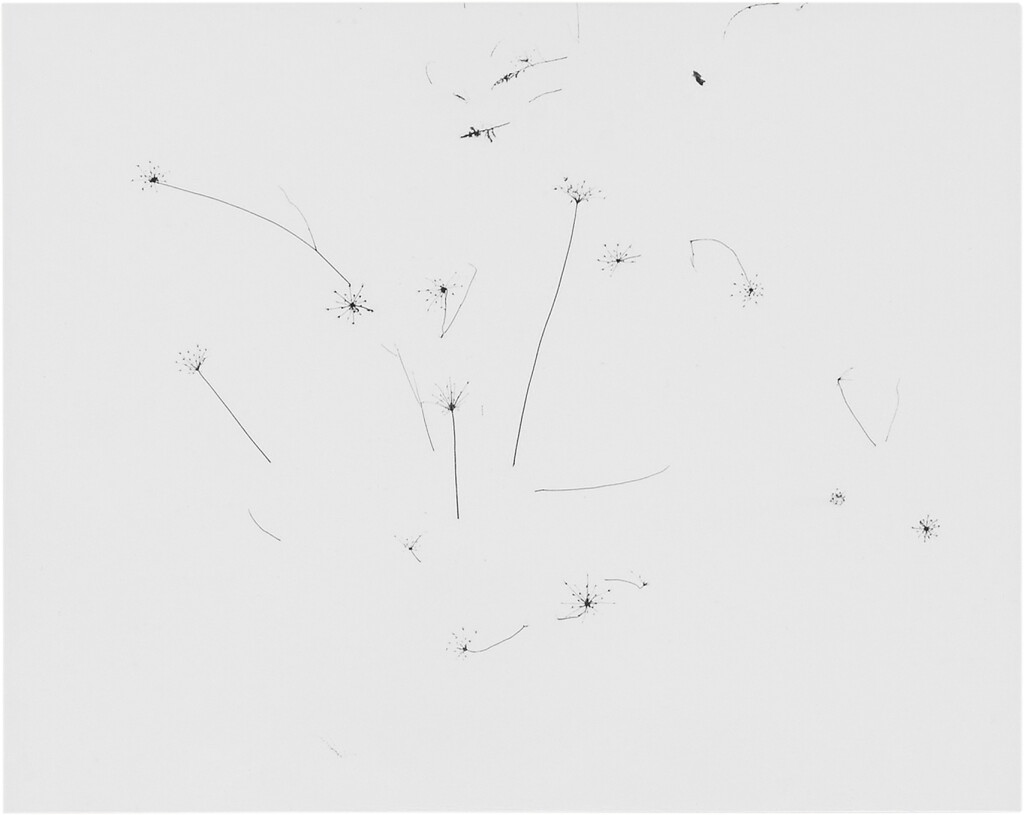 全萤幕检视 - 查看69Grasses in Snow, Rhode Island的1