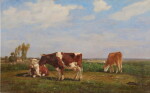 Trois vaches au pré