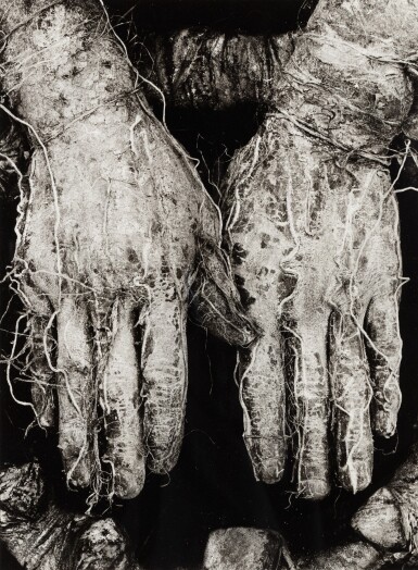 Quelle: Sotheby's Bild