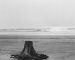 'Driftwood Stump, Clatsop Spit, Oregon'