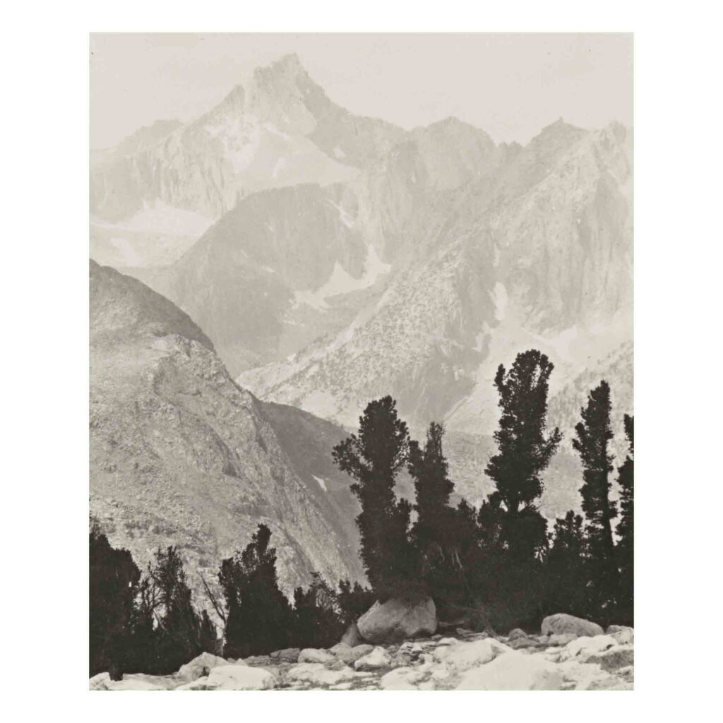 View full screen - View 1 of Lot 110. Mount Clarence King.
