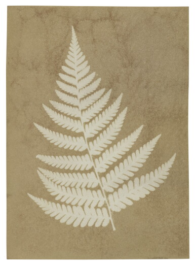 View full screen - View 1 of Lot 89. TAYLOR, ALFRED SWAINE | Early "photogenic drawing" photograph of a fern, dated on the verso by Taylor, 2 December 1839.