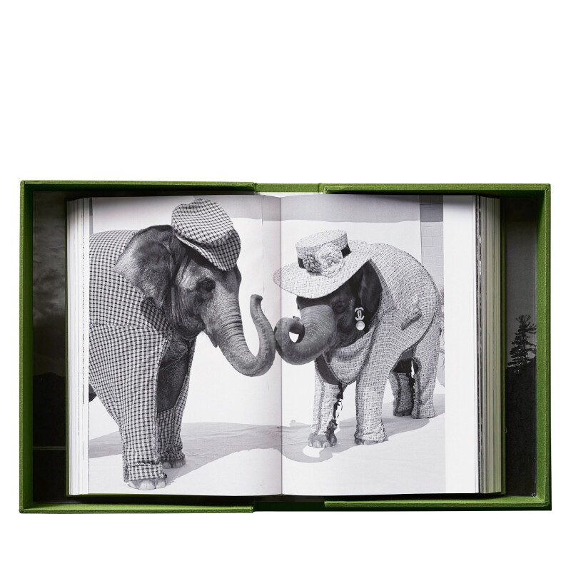 Cover image 0