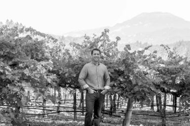 View full screen - View 1 of Lot 217. Terra Valentine, Cabernet Sauvignon, Yverdon Vineyard, Spring Mountain District 2007 (24 BT).