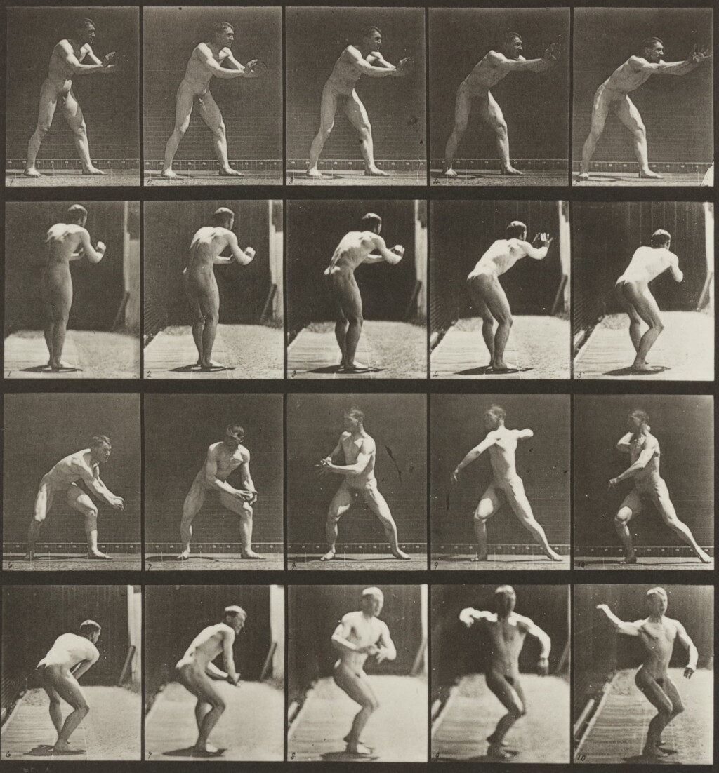 View full screen - View 1 of Lot 112. Selected Images (from Animal Locomotion).