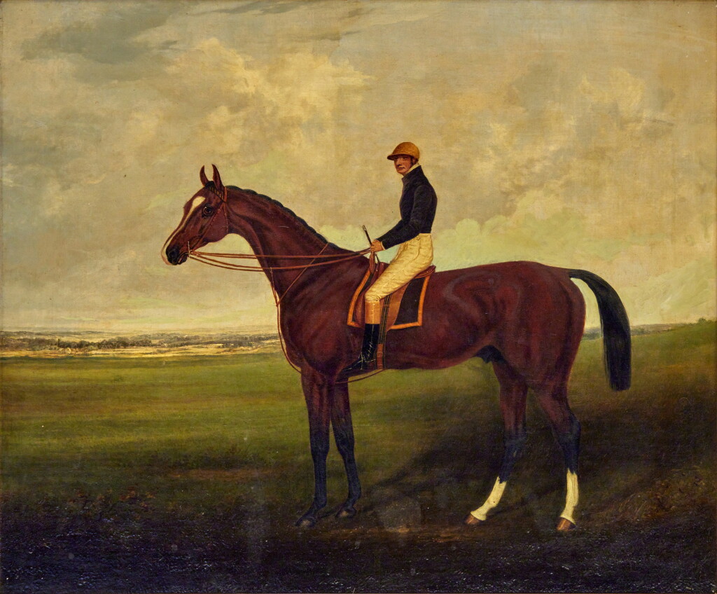 View full screen - View 1 of Lot 56. Cotherstone Winner Derby Stall.
