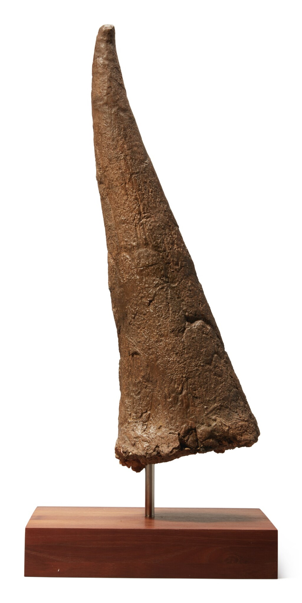 View full screen - View 1 of Lot 3. A LARGE TRICERATOPS HORN.
