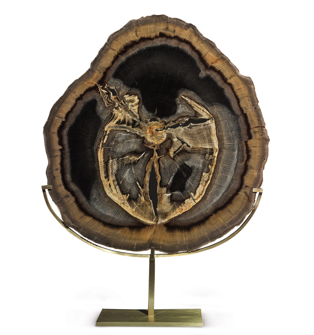 View full screen - View 1 of Lot 64. A SLICE OF PETRIFIED OAK.