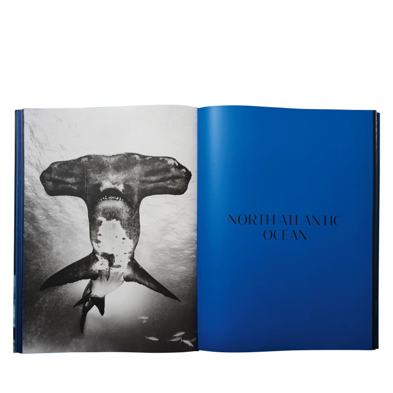 Cover image 0