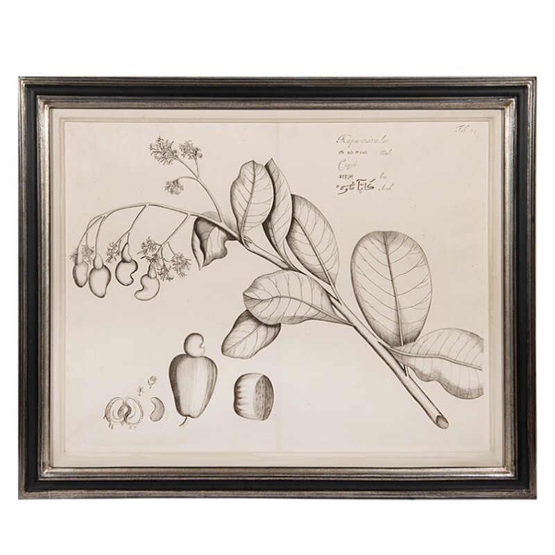 Cover image 0
