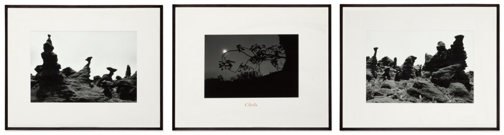 View full screen - View 1 of Lot 69. 'Cibola'.