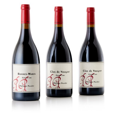 View full screen - View 1 of Lot 7395. Clos de Vougeot 2017 Philippe Pacalet (12 BT).