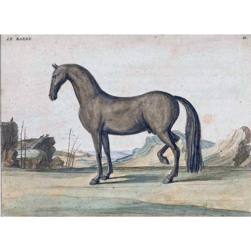 Cover image 0