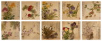 Attributed to Zhang Hua, Flowers of four seasons | (款)張華 《四時花卉》 設色絹本 十開冊