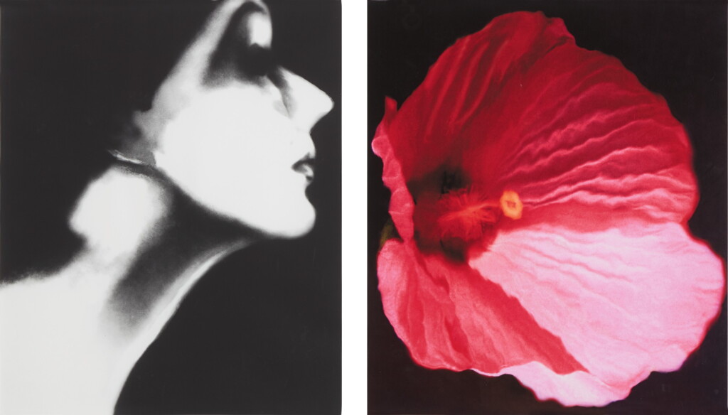 View full screen - View 1 of Lot 65. Lisa Fonssagrives, Harper's Bazaar, and Flower 28 (Pink Mallow): a diptych.
