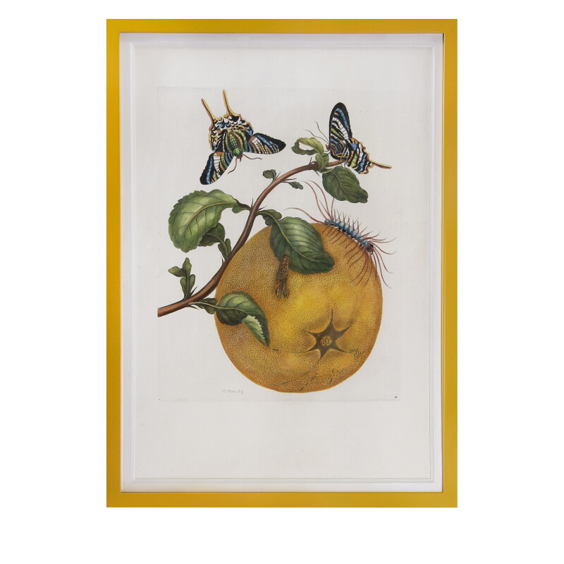 Cover image 0