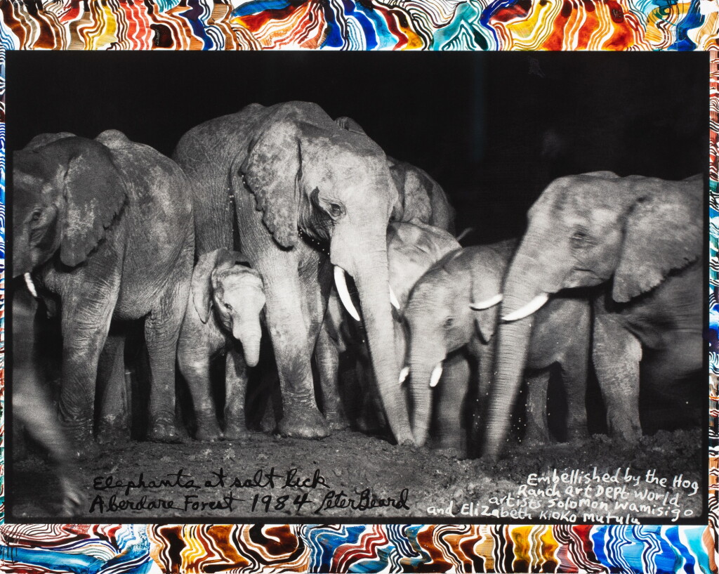 View full screen - View 1 of Lot 18. 'Elephants at Salt Lick, Aberdare Forest'.