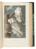 Audubon, John James | An original subscriber's copy preserving the wrappers, and with an important provenance
