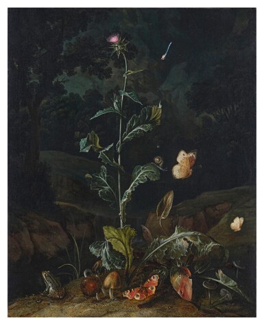 View full screen - View 1 of Lot 10. Nocturnal forest floor still life with a thistle, butterflies, mushrooms and a frog.