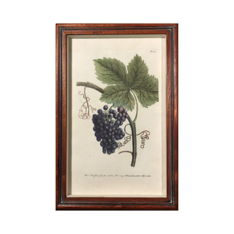 Cover image 0