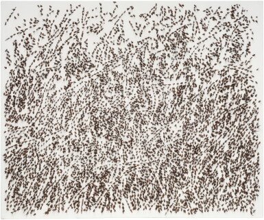 View full screen - View 1 of Lot 44. Spine d'acacia - Contatto 11 maggio 2010.