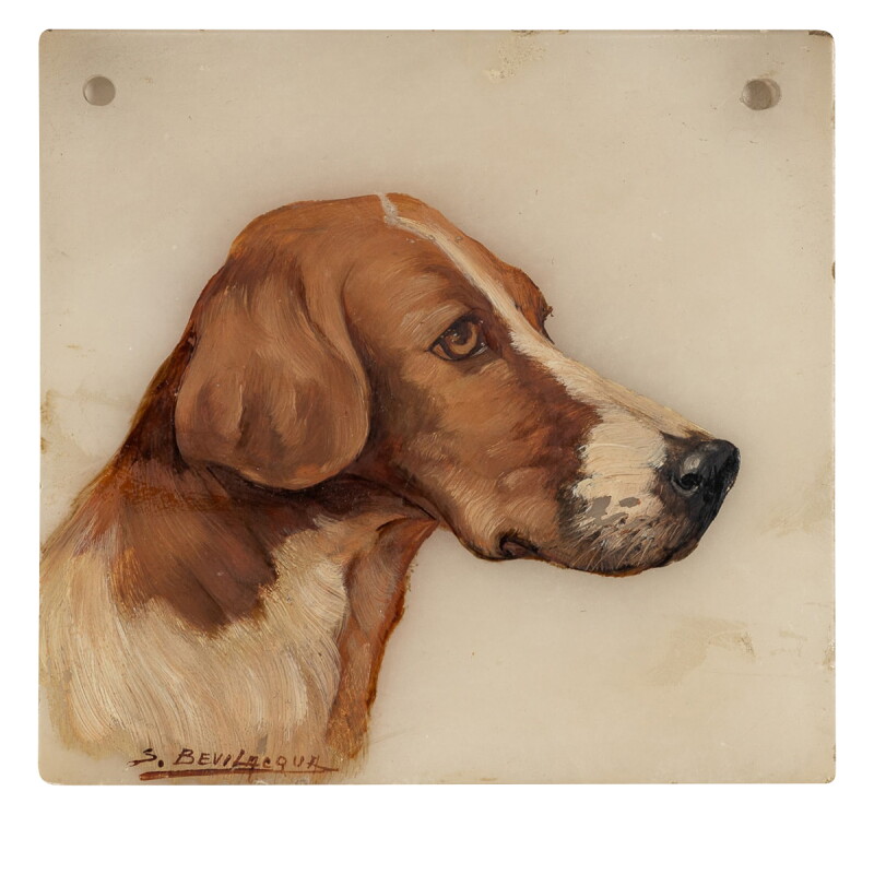 Cover image 0