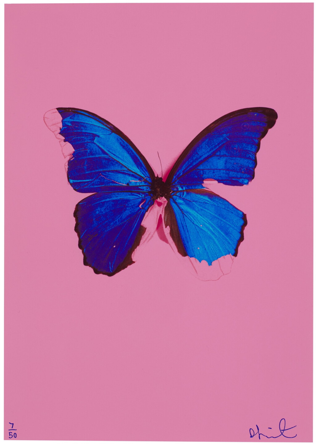 View full screen - View 1 of Lot 122. Blue Butterfly.