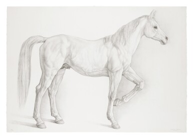View full screen - View 1 of Lot 707. Caballo Blanco (White Horse).