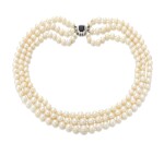 Cultured pearl and sapphire necklace (Collana in perle coltivate e zaffiro)