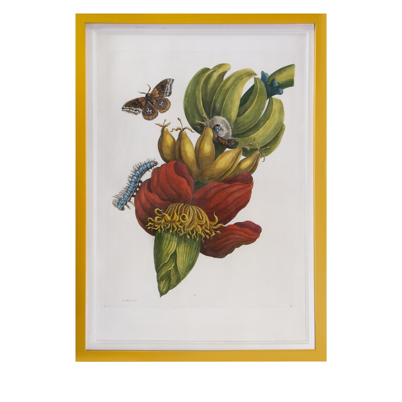 Cover image 0
