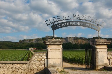 View full screen - View 1 of Lot 104. Nuits St. Georges, Clos de la Maréchale 2011 Jacques-Frédéric Mugnier (12 BT).