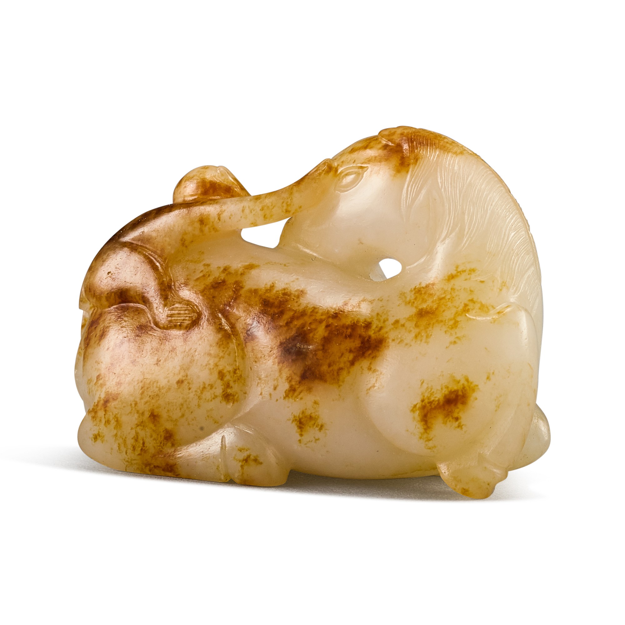 五色蔦(希少品) 【公式通販】