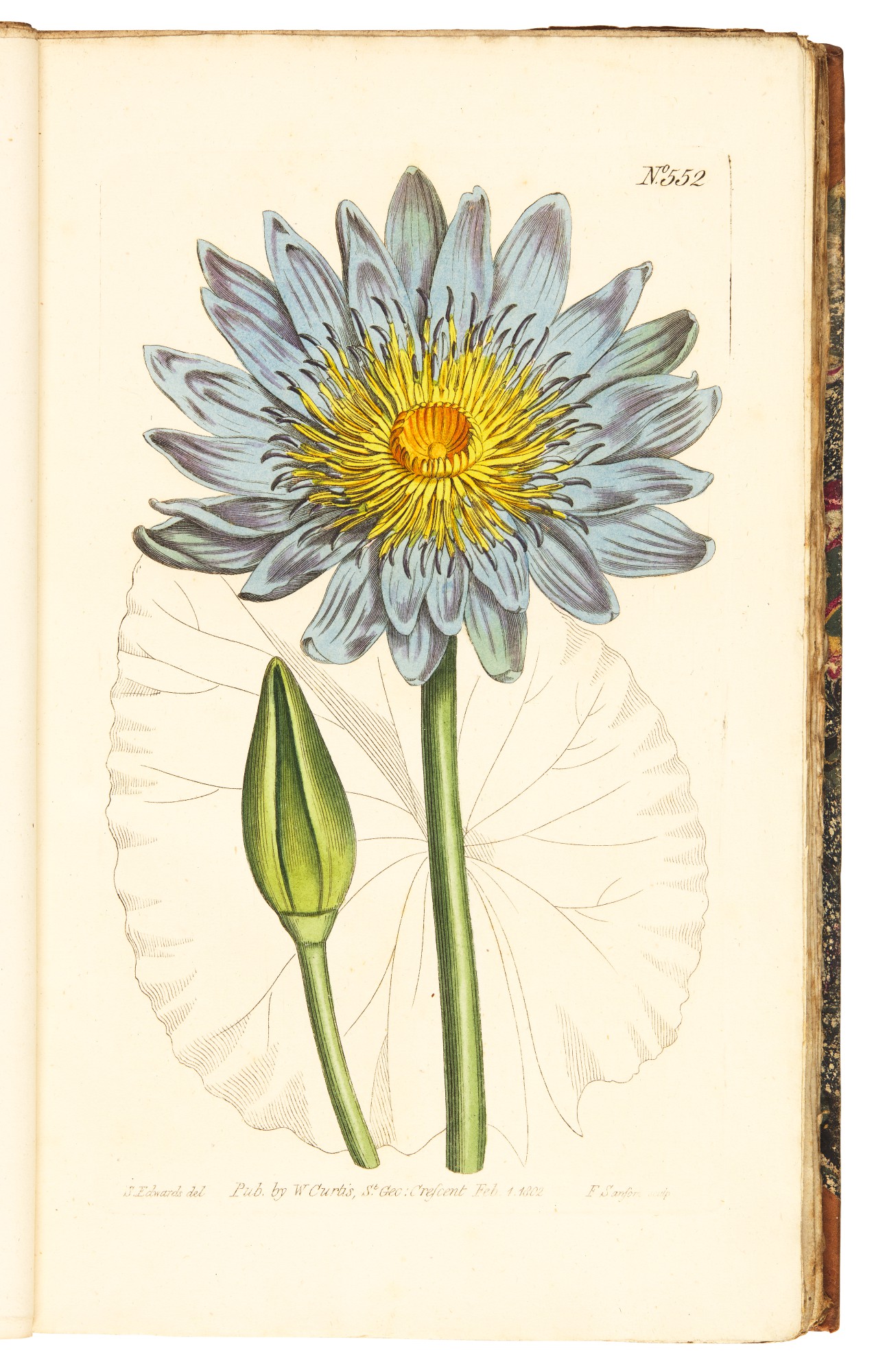Curtis | The Botanical Magazine; or Flower-Garden Displayed, 1790–1788 ...