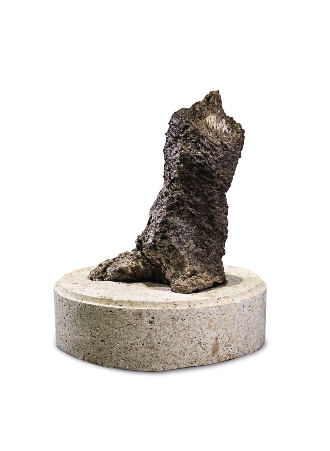 A FINE FOSSIL CYCAD TRUNK Natural History; Including Fossils