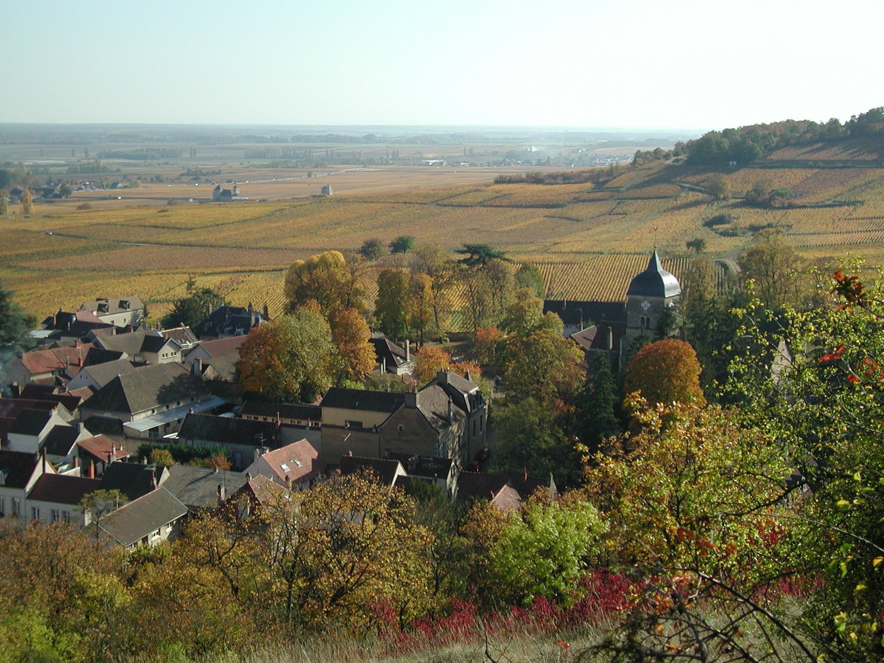Chambolle Musigny 2001 Hervé Roumier (1 BT) | Spectacular Cellars from ...