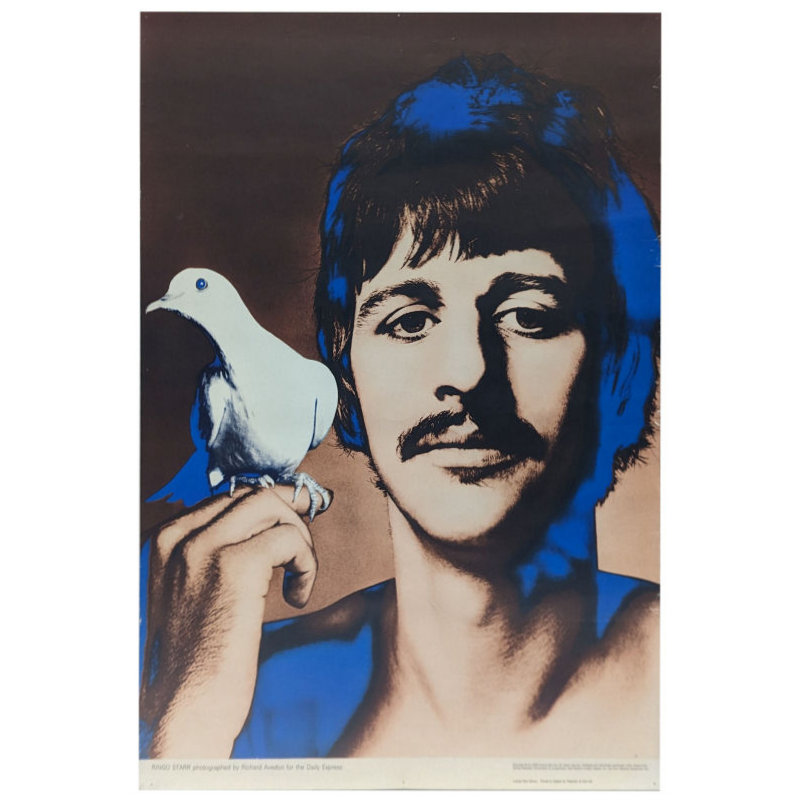 アート・デザイン・音楽 Richard Avedon: Wandbilder und Portraits Ringo Starr Richard Avedon – Poster Museum