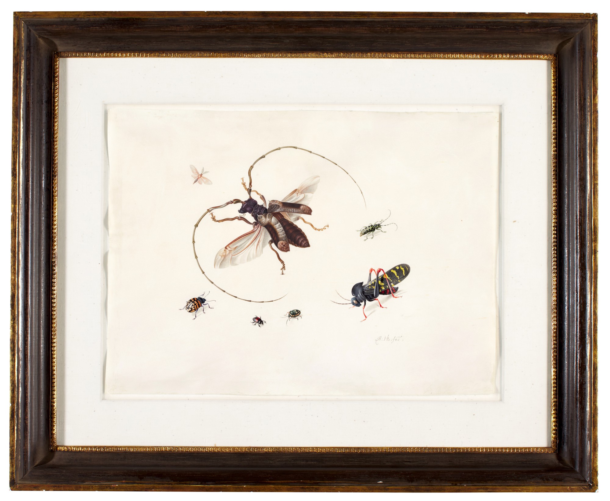 Study of seven insects | Master Works on Paper from Five Centuries ...