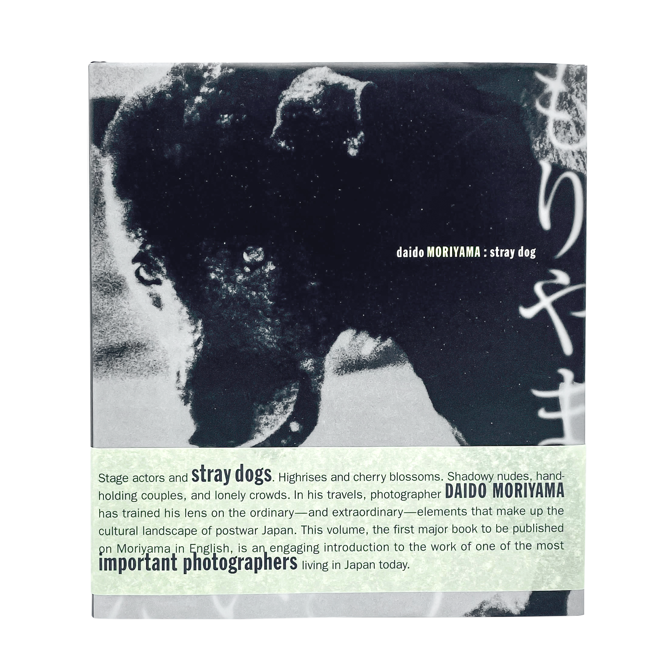 Daido Moriyama Antique Daido Moriyama: Stray Dog Dust Jacket