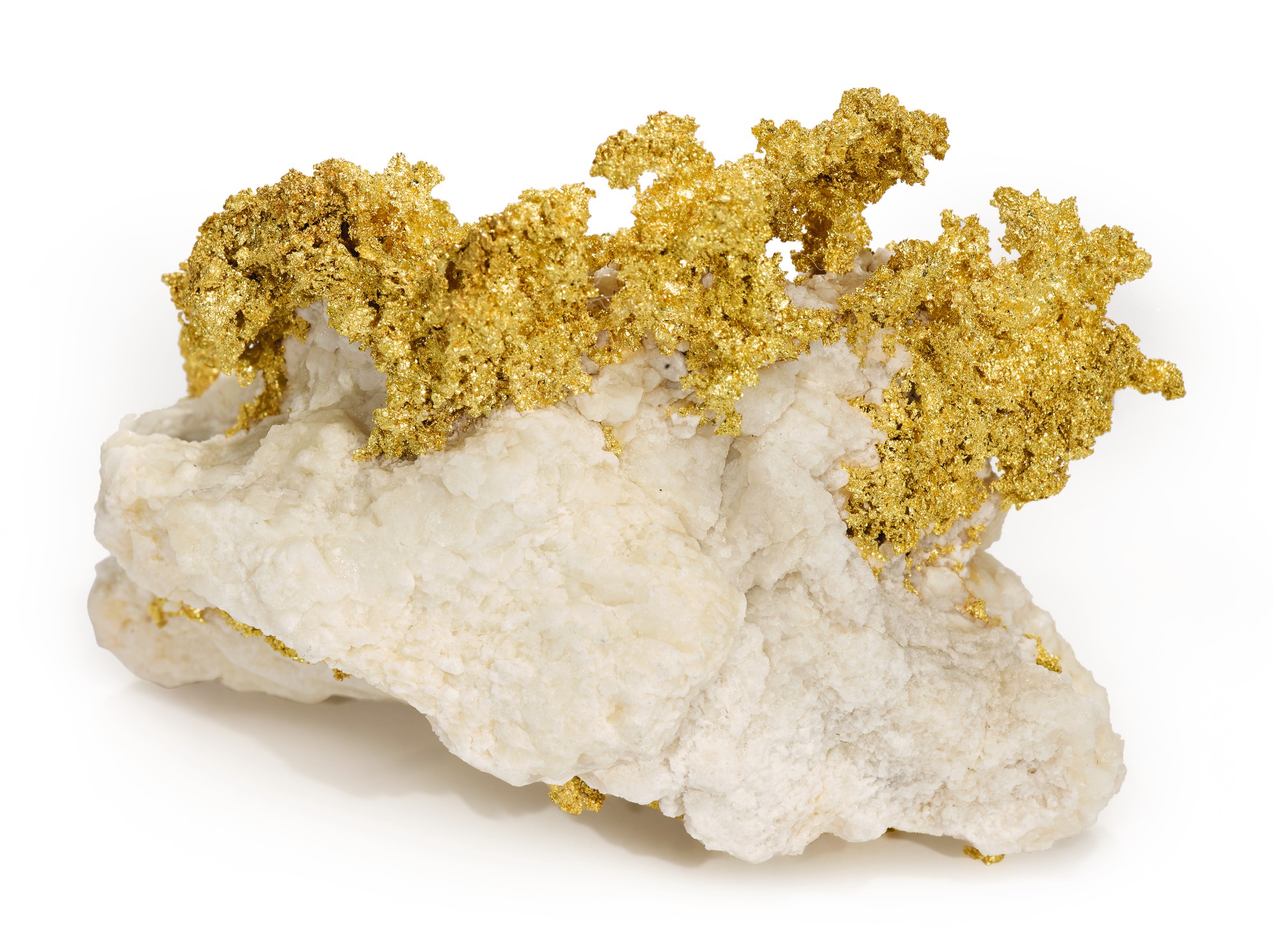 CLASSIC GOLD IN QUARTZ SPECIMEN Natural History; Including Fossils
