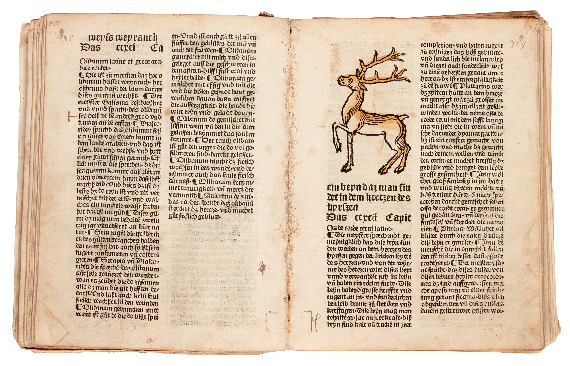 GART DER GESUNDHEIT Augsburg, 1487, coloured woodcuts, later boards